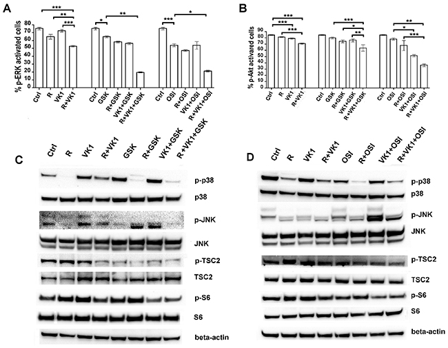 Effects of the combination Regorafenib/VK1 and IGF1-R inhibitors on the modulation of MAPK and PI3K/Akt signaling.
