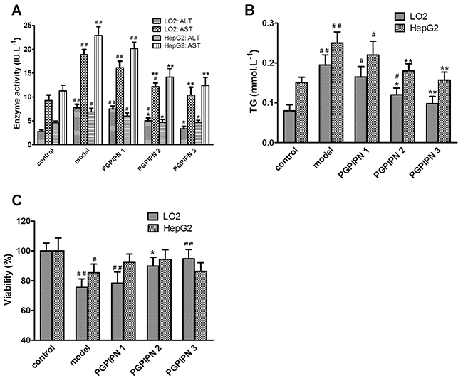 PGPIPN decreased the levels of ALT and AST leaking in the culture medium and intracellular triglyceride (TG), and affected the cell viabilities in both LO2 and HepG2 cells induced by alcohol in vitro.