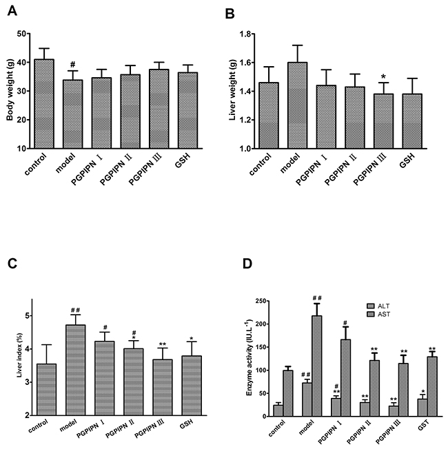 PGPIPN attenuated liver index and the levels of serum ALT and AST in model mice in vivo.