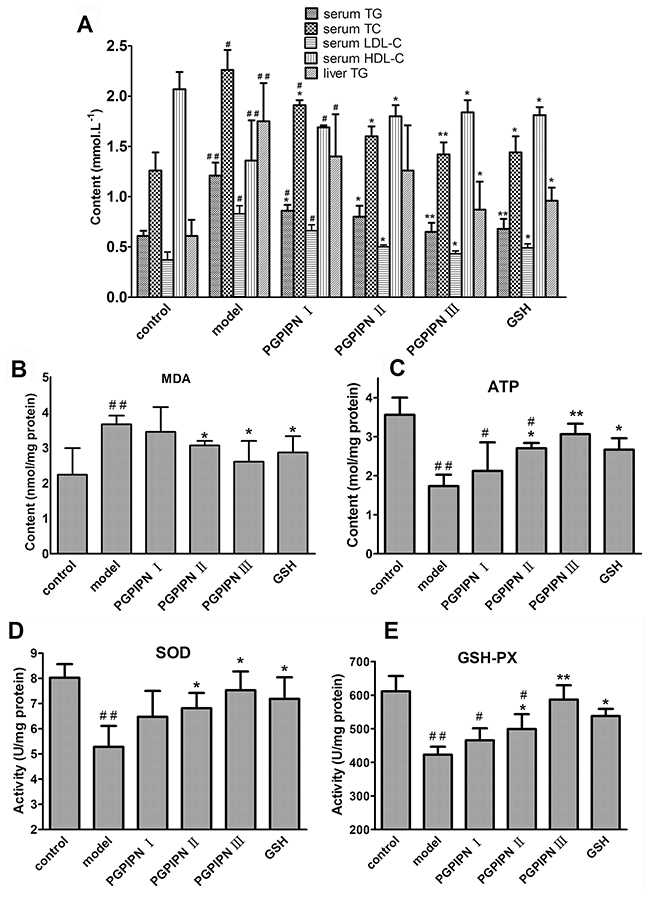 PGPIPN attenuated hepatic lipid metabolic disturbance and oxidative stress of model animals induced with alcohol-intake in vivo.
