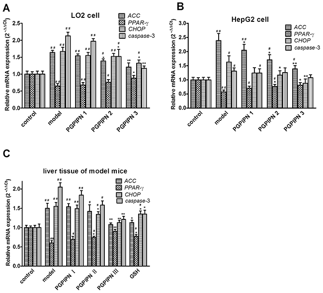 PGPIPN regulated the mRNAs of ACC, PPAR-&#x03B3;, CHOP and caspase-3 genes related with lipid metabolism and oxidative stress in hepatic cells by real-time PCR.