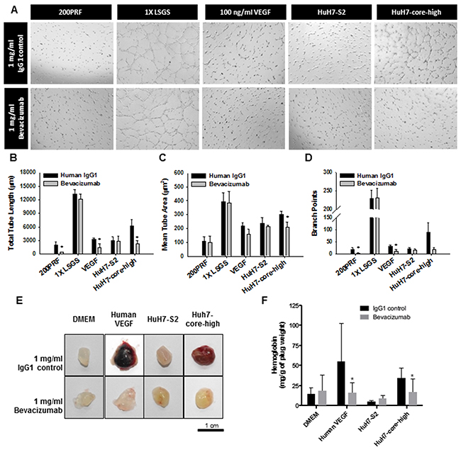 Figure 3: