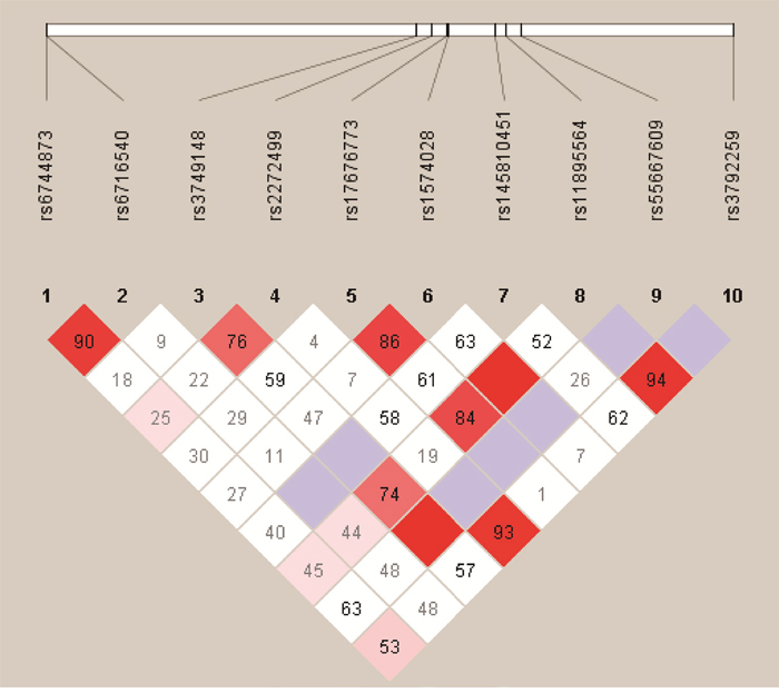 Haplotype block map for the ten ITGA6 SNPs genotype in this study.