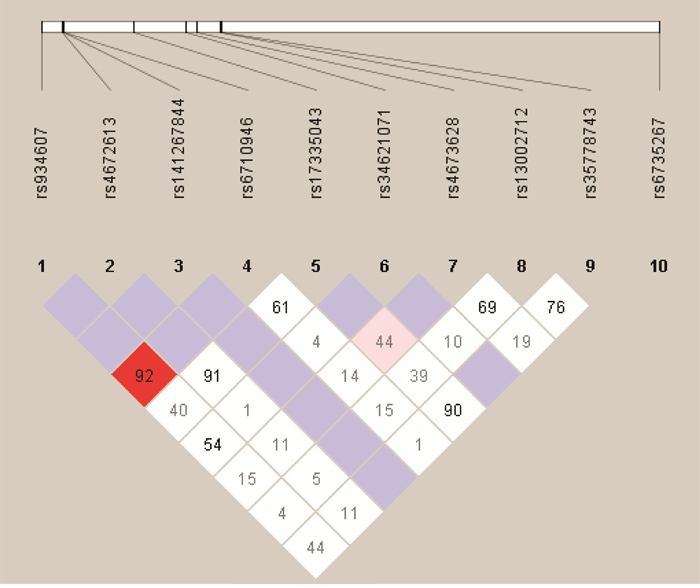 Haplotype block map for the ten ERBB4 SNPs genotype in this study.