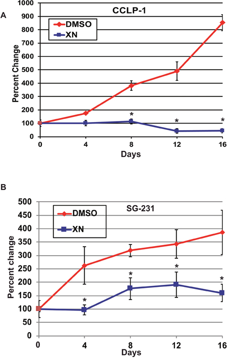 XN treatment inhibits tumor growth in both CCLP-1 and SG-231 cells injected in a mice xenograft model.