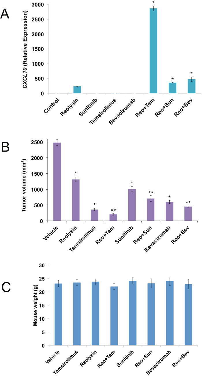 Reolysin augments the anticancer activity of temsirolimus, sunitinib, and bevacizumab.