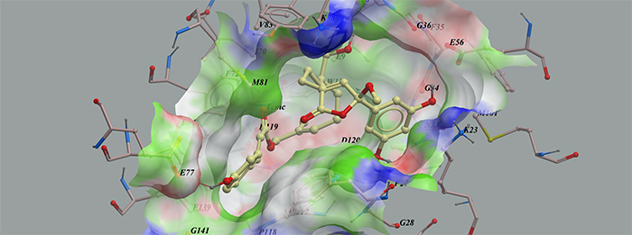 Low-energy binding conformations of compound 1 bound to MTH1 generated by virtual ligand docking.