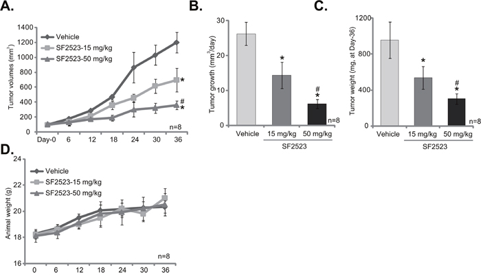 SF2523 inhibits 786-O xenograft tumor growth in vivo.