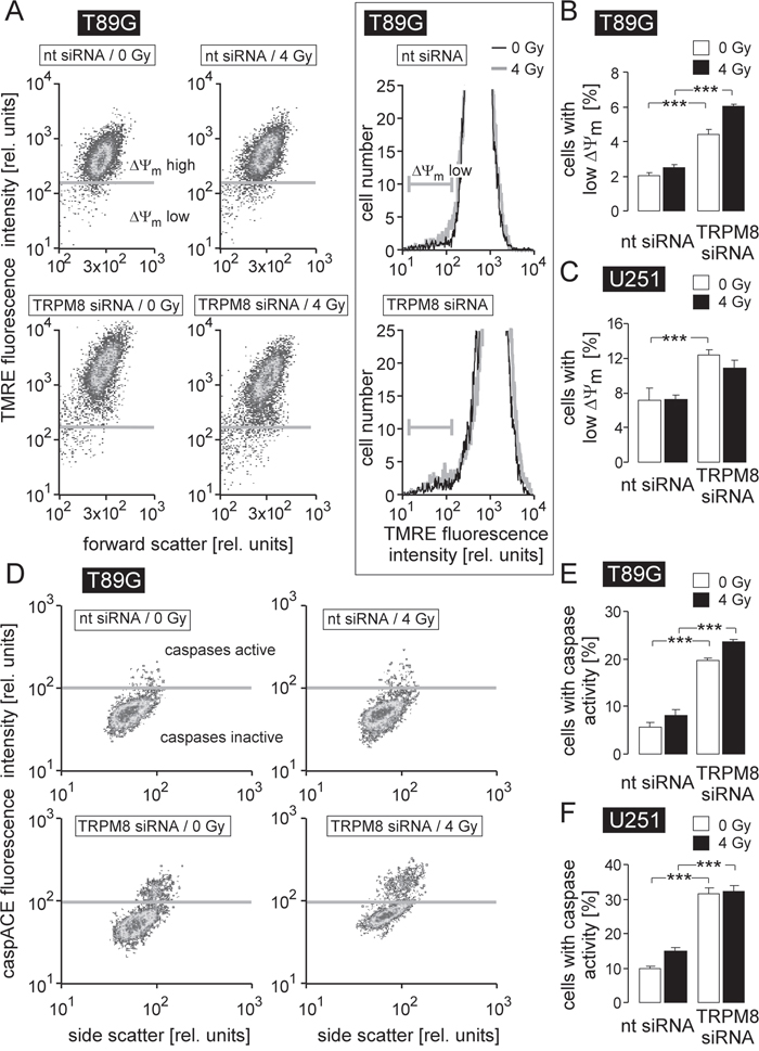 TRPM8 silencing induces breakdown of inner mitochondrial membrane potential (&#x0394;&#x03A8;m) and caspase activation in human glioblastoma cells.