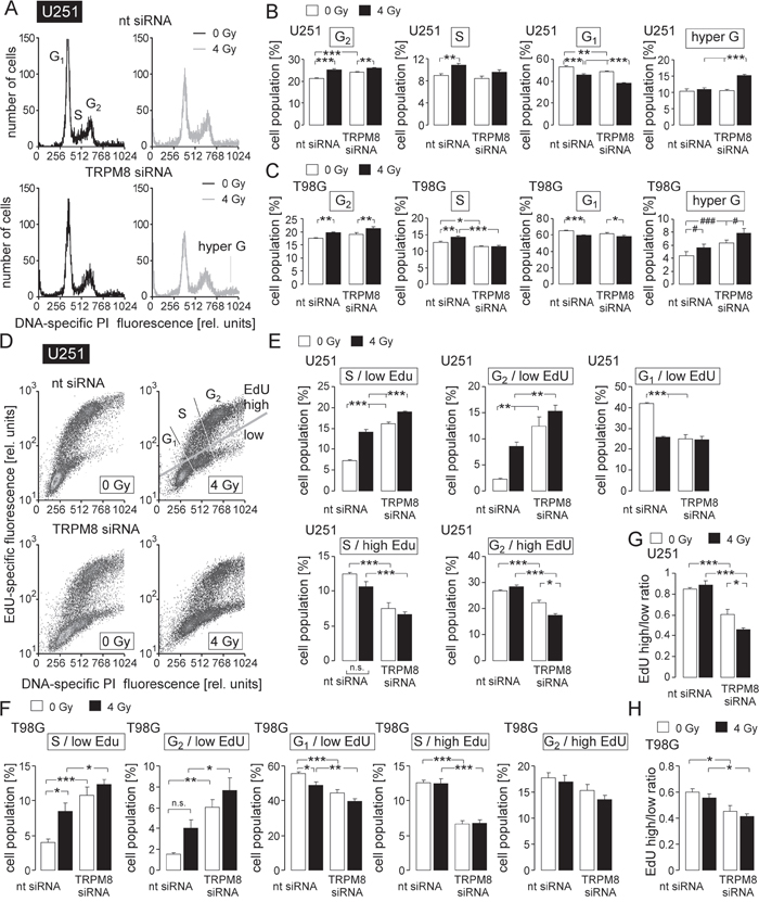 TRPM8 RNA silencing impairs cell cycle control in irradiated glioblastoma cells.