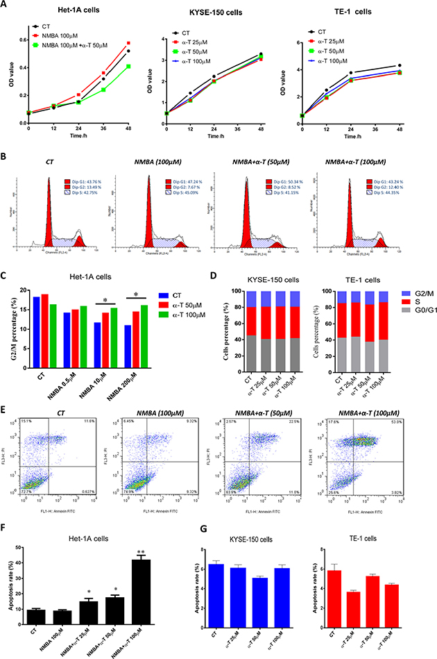 &#x03B1;-Tocopherol induced cell cycle G2 arrest and apoptosis in NMBA-treated normal esophageal epithelial cells but was not effective in ESCC cell lines.