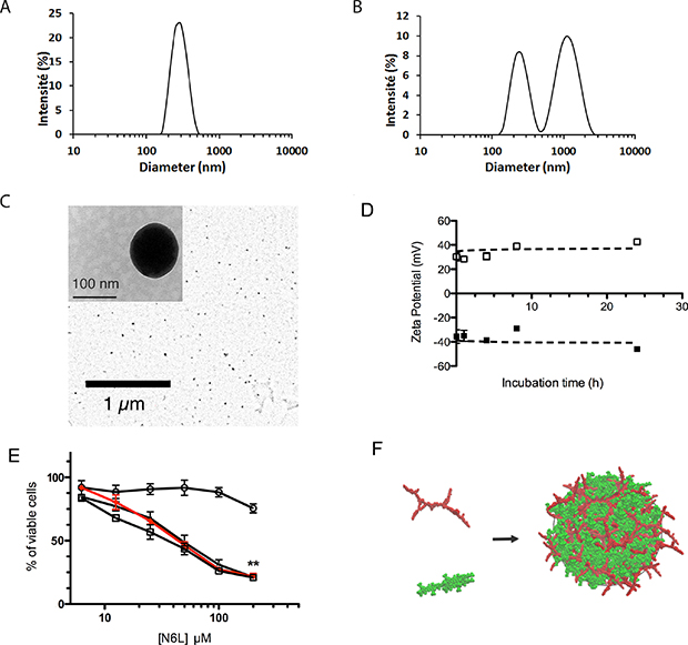 N6L and anionically charged polyelectrolytes spontaneously assemble into functional polyplexed nanoparticles.