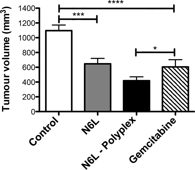 N6L polyplexes reduce PDAC tumour growth.