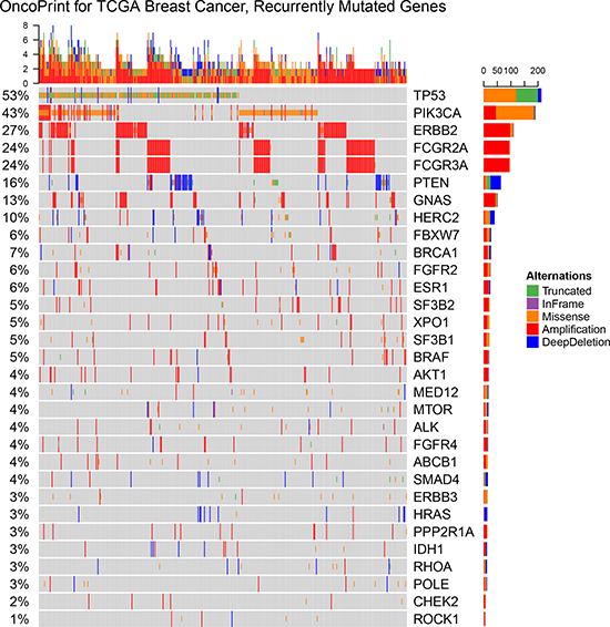 OncoPrint showing the distribution of genomic alterations in breast cancer.