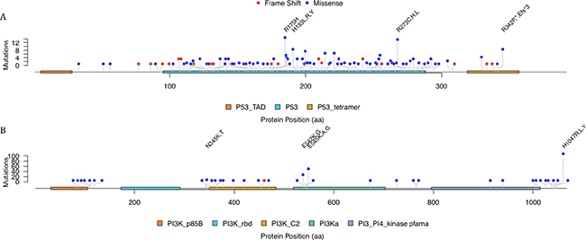 The mutation distribution over the TP53 and PIK3CA protein.