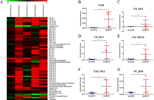 Differential metabolites between the matched PCT and ANT tissues in SPOP-mutated PCa patients.
