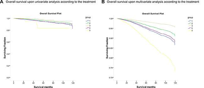 Kaplan&#x2013;Meier curve of overall survival according to the treatment.