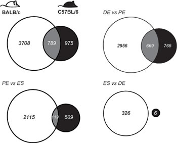 Mammary gland gene transcript levels depend on genotype and estrous stage.