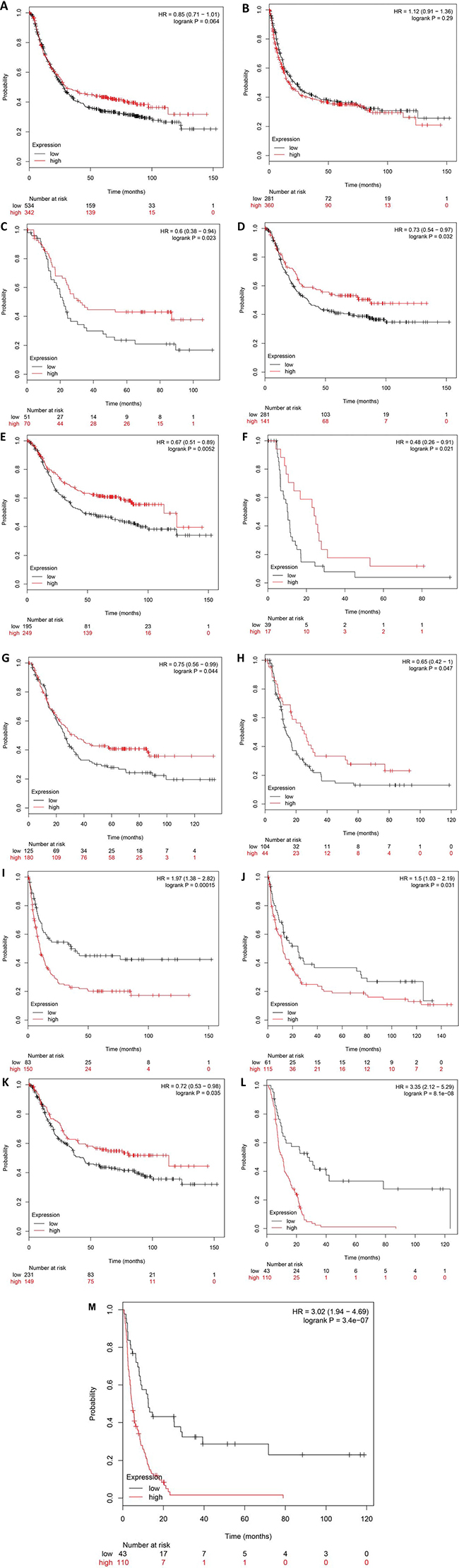 The prognostic significance of DNMT1 mRNA in the patients with gastric cancer according to the database from Kaplan Meier plotter.