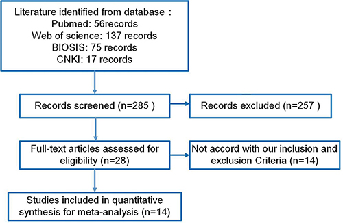 Flow chart of the selection process in this meta-analysis.