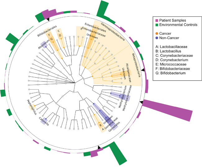 Cladogram of differentially abundant taxa in cancer and non-cancer patient breast tissue.