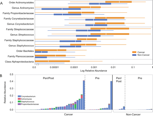 Relative abundances of differentially abundant taxa in cancer and non-cancer patient urine.