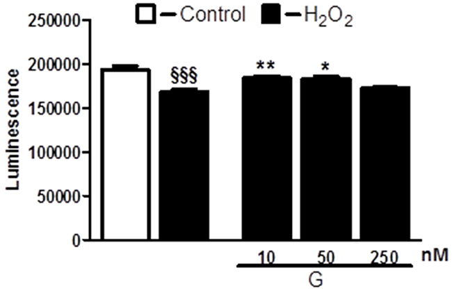 Dose-dependent effect of G on cell viability in response to oxidative stress.