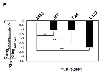 fig5b