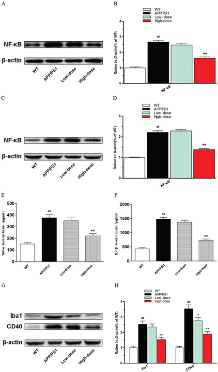 Inhibitory function of BJJS on neuroinflammation in APP/PS1 mice.