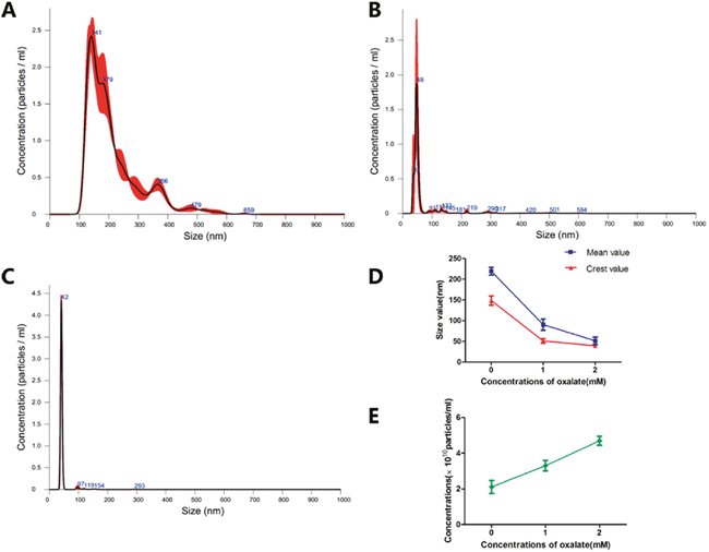 Exosomes were dynamically observed by nanoparticle tracking analysis.