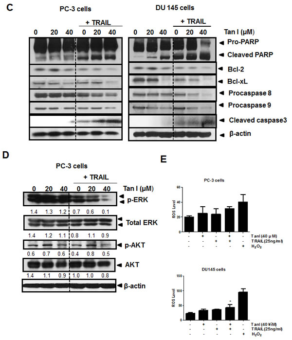 Fig2B