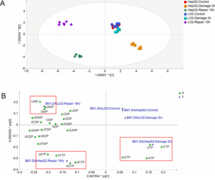 Figure 2: