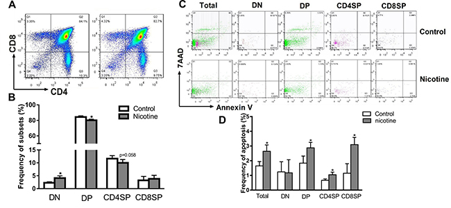 Effects of prenatal nicotine exposure on the thymocyte phenotypes and apoptosis frequency in female offspring on PND 49.