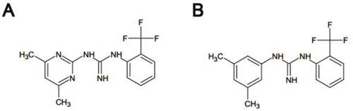 Chemical structures of Rac1 inhibitors