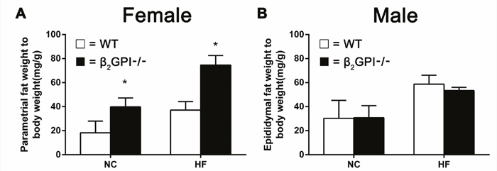 VAT weight in &#x03B2;2GPI-/- mice fed NC or HF diet for 16 weeks.