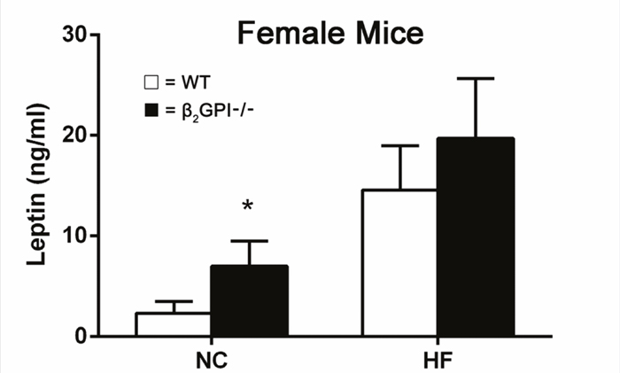 Plasma leptin levels in female &#x03B2;2GPI-/- and WT mice fed NC or HF diet.