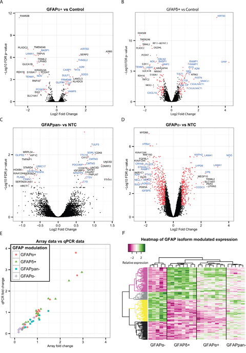 Differential expression analysis of astrocytoma cell lines with modulated GFAP-networks.