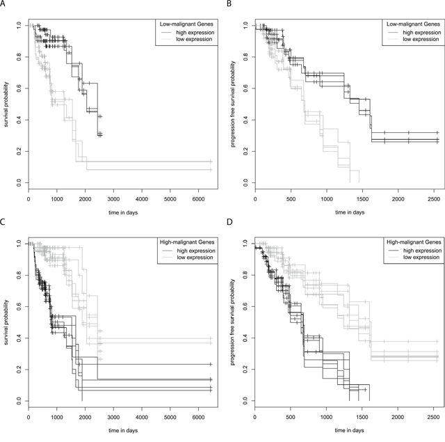 Kaplan-Meier survival and progression free survival curves grade III astrocytoma.