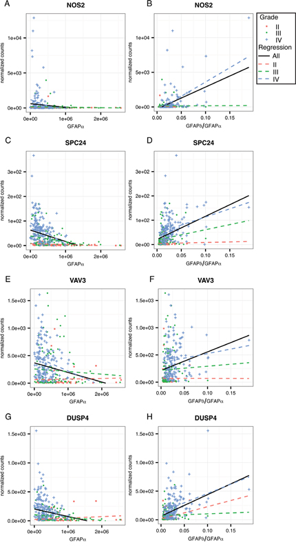 Linear regression analysis within astrocytoma grade for GFAP-regulated high-malignant genes.