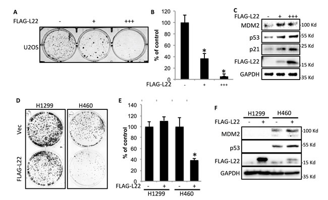 Figure 2: