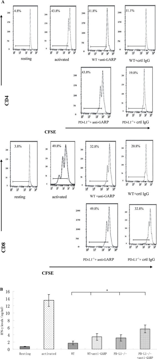 GARP is required for MSCs to efficiently inhibit T cells in addition to PD-L1.