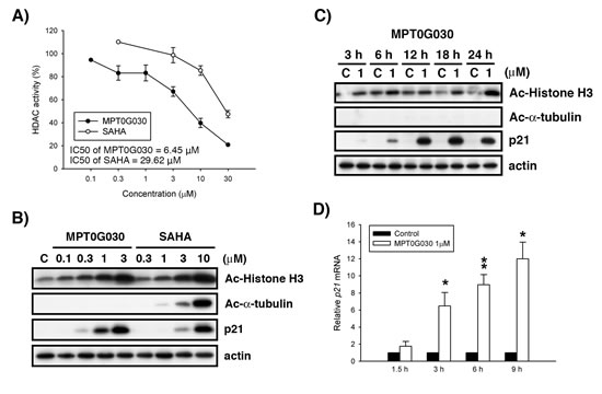 MPT0G030 inhibits histone deacetylase (HDAC) activity.