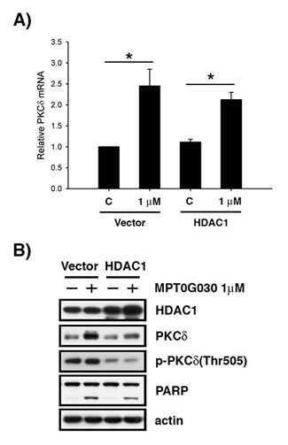 MPT0G030-induced PKC&#x3b4; activation is mediated by HDAC1.