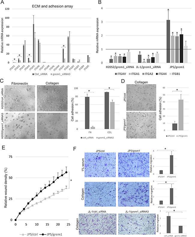 Mesothelioma cell adhesion and migration is regulated by gremlin-1.