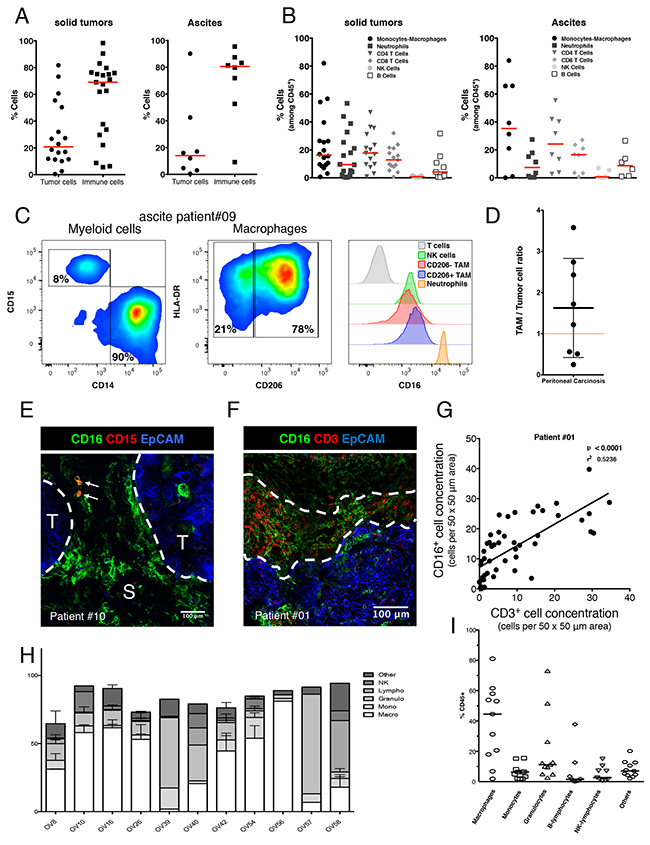 Phenotypic characterization of human ovarian tumors infiltrating immune cells.