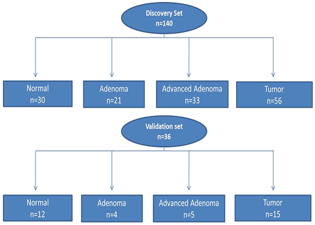 Flow chart of patient selection for both Discovery and Validation sets for somatic variant analysis.