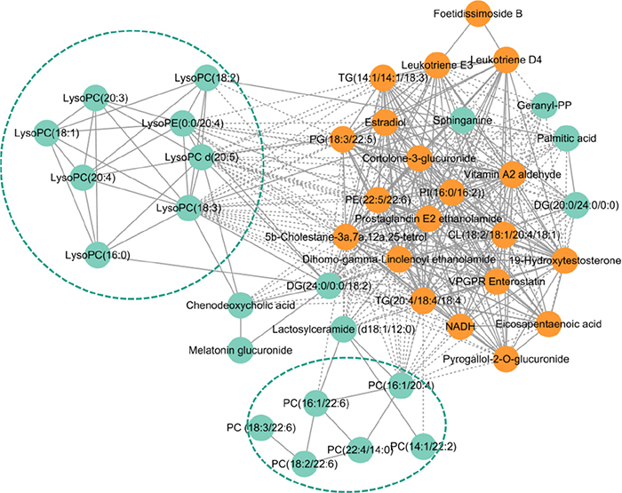 Pearson correlation network of metabolites.