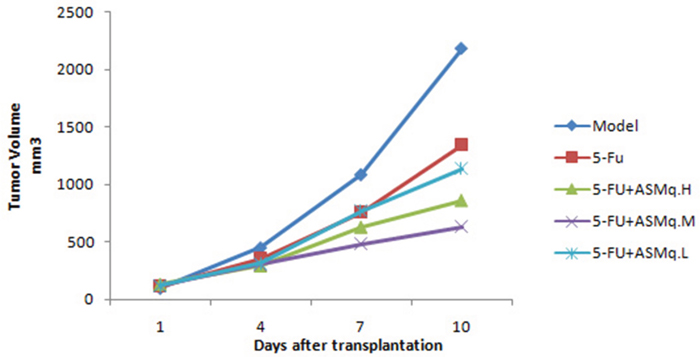 Tumor growth curve.