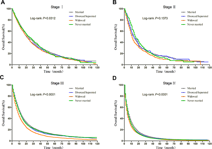 Kaplan-Meier curves of the effect of marital status on OS for patients without surgery by stage.