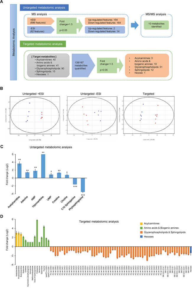 Untargeted and targeted metabolomic analyses reveal coordinate alteration of metabolic pathways in BxPC-3ER cells.